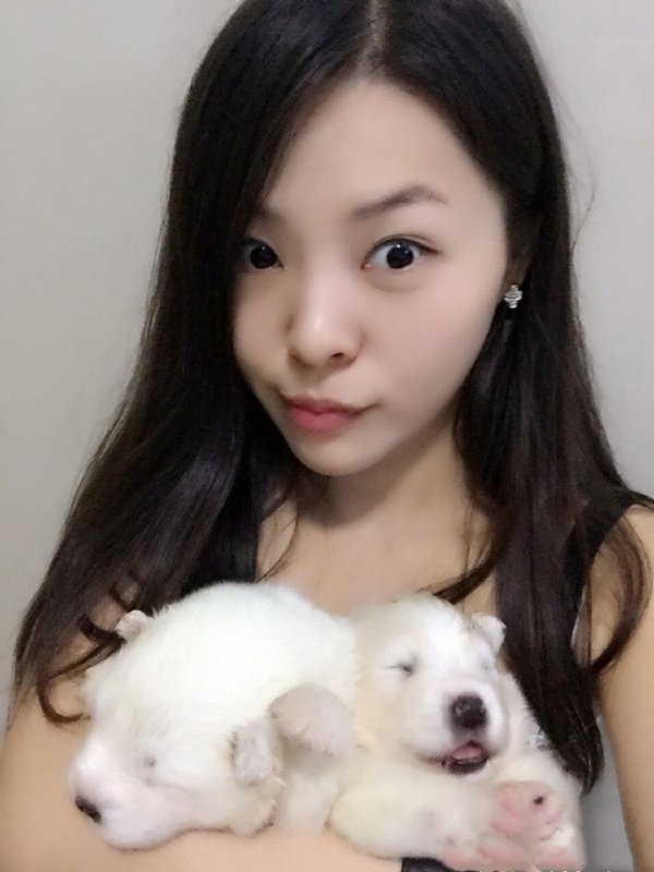 如果可以的第三张照片--石家庄相亲服务中心