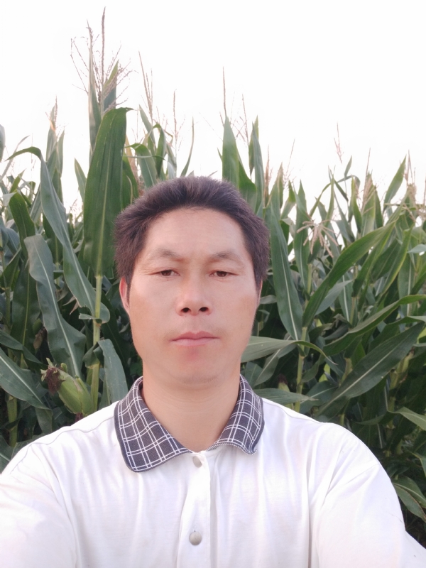 四海游龙的第二张照片--石家庄相亲服务中心