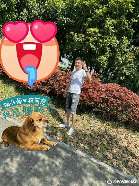 我若不坚强谁替我勇敢的第五张照片--石家庄相亲服务中心