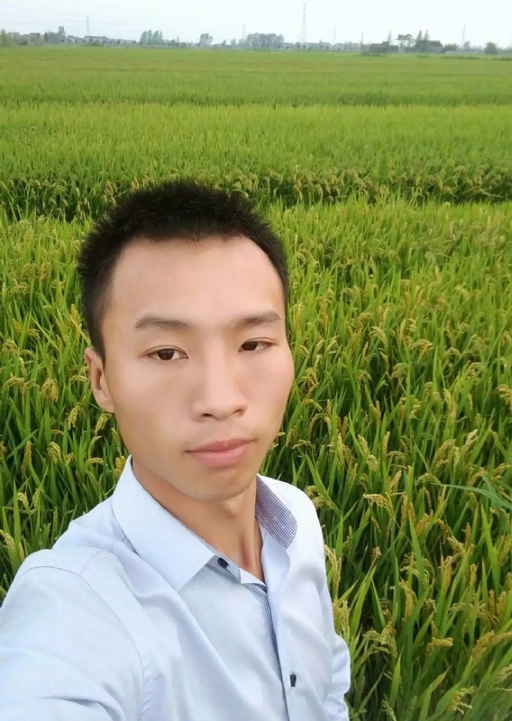 等待远方的你的第二张照片--石家庄相亲服务中心