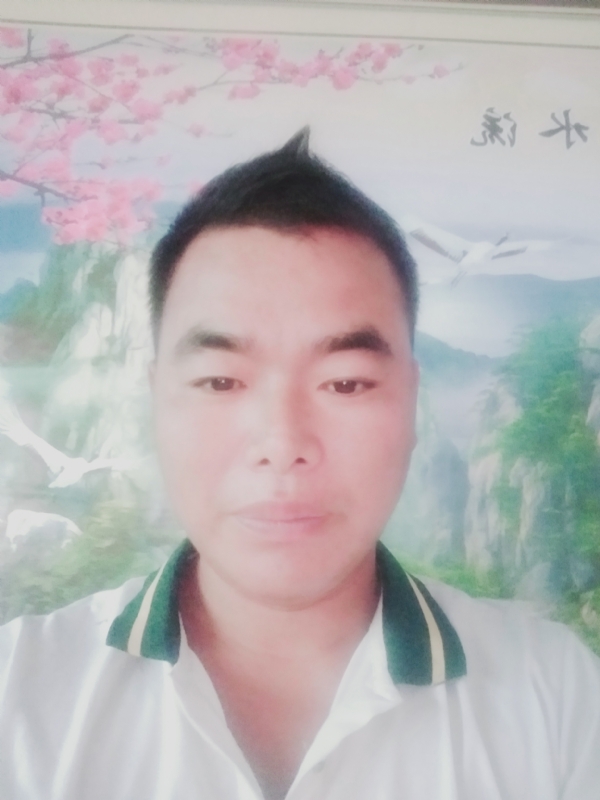 阳光男孩的第二张照片--石家庄相亲服务中心